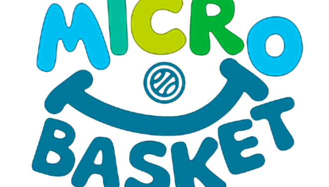 MICRO BASKET CVL